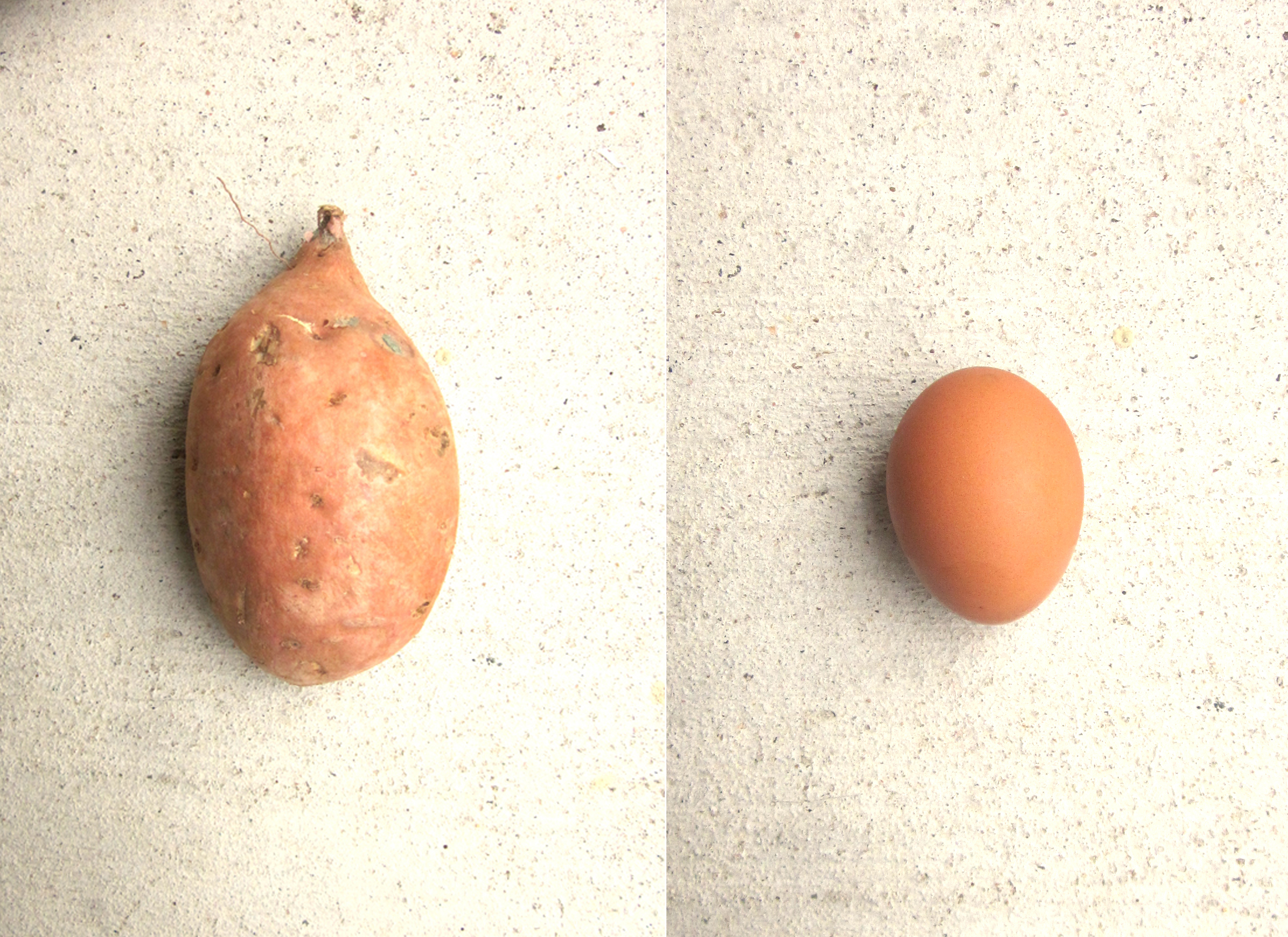 A sweet potato next to an egg.