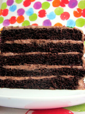 A 5-layer chocolate cake layered with chocolate buttercream on a white plate.