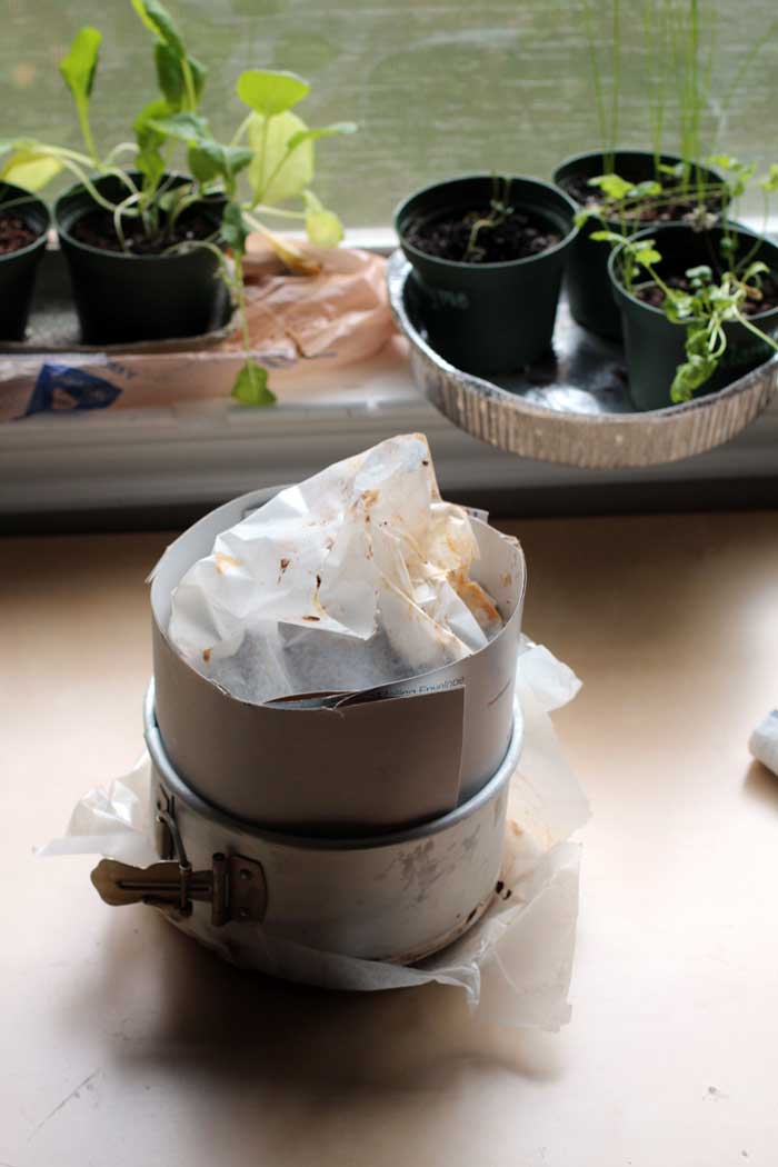 A six-inch springform pan with cardboard and parchment paper sticking out.