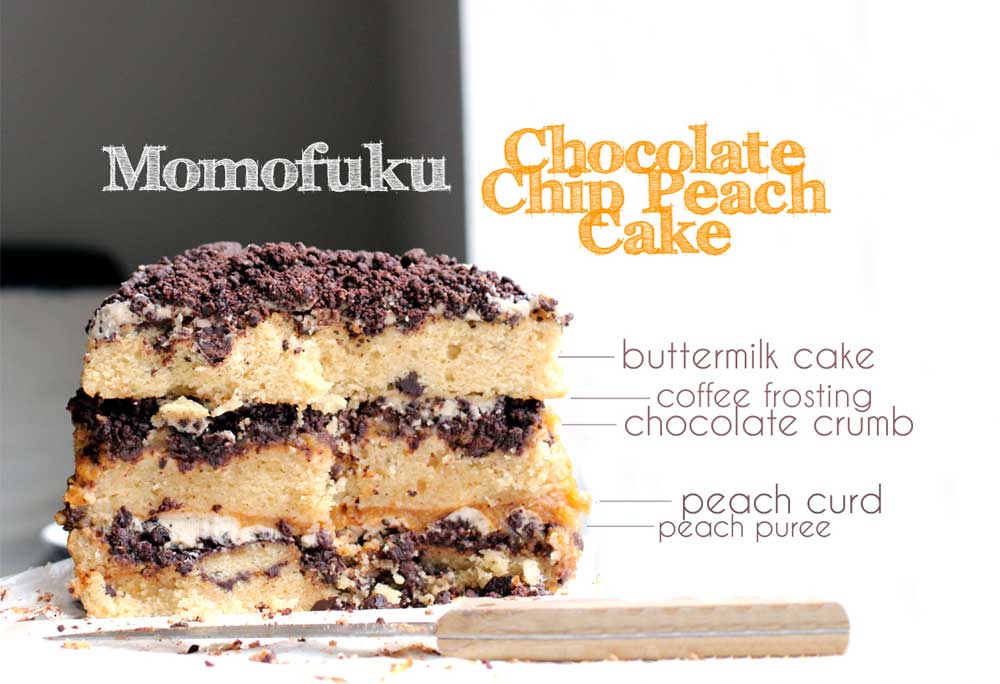 The interior of a triple layer chocolate chip peach cake with chocolate crumbs and peach puree.