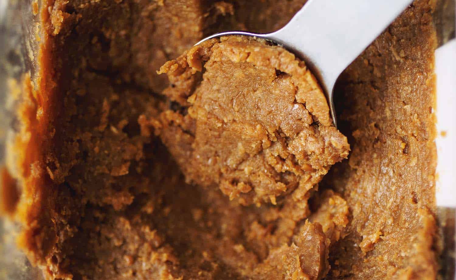 Close up on a spoonful of miso paste.