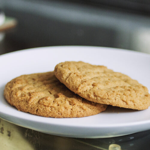 Two wowbutter cookies on a white plate.