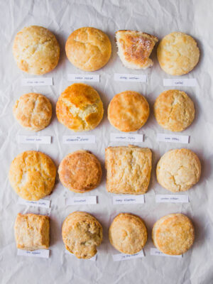 16 buttermilk biscuit recipes on a white background.