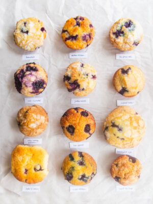 12 different blueberry muffins on a gray background with labels.