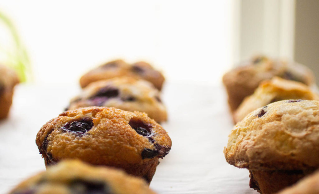 Side view of blueberry muffins lined up on white parchment paper.