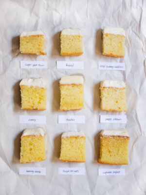 9 square pieces of frosted vanilla cake on a white piece of paper.