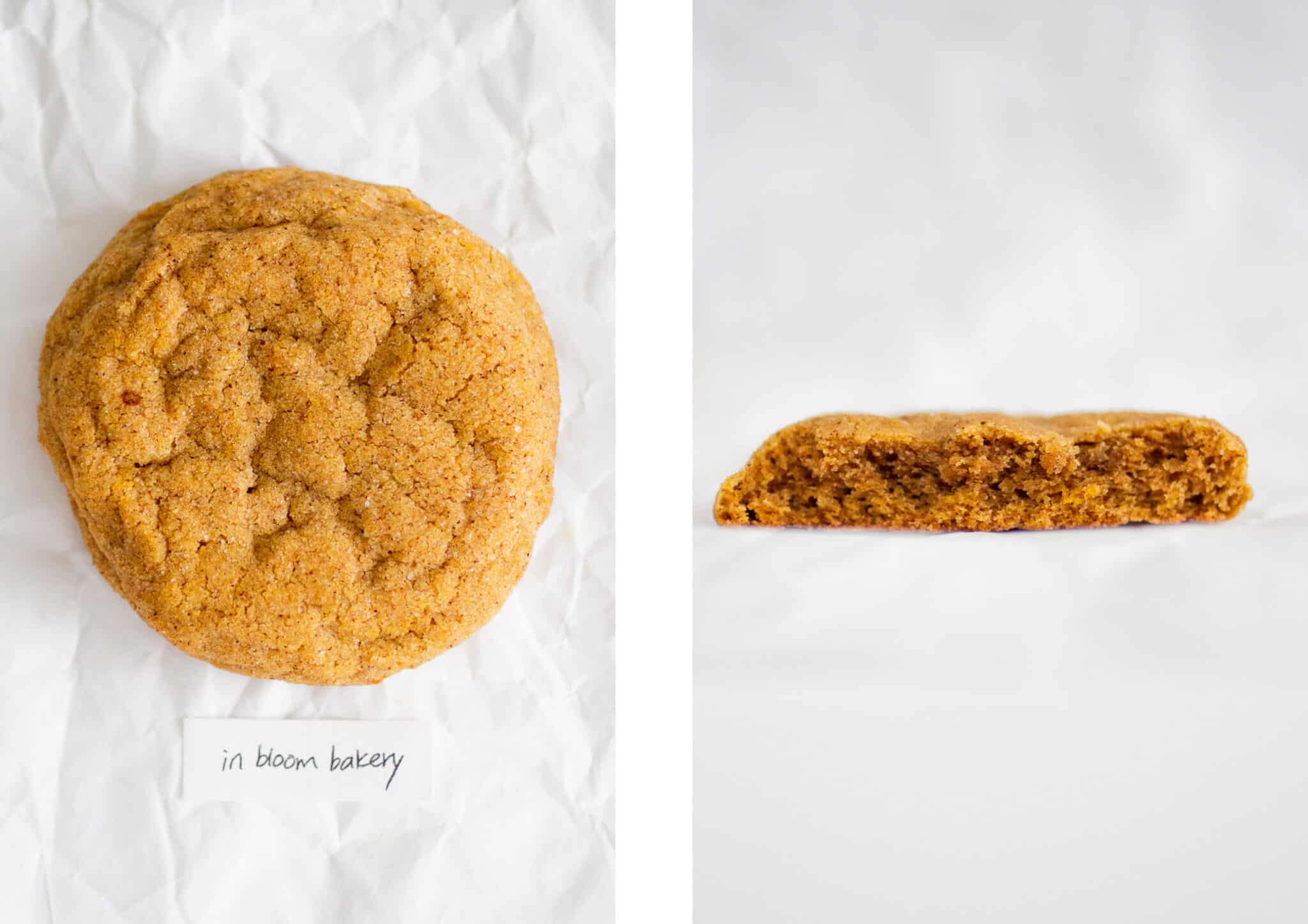 In bloom bakery pumpkin cookie.