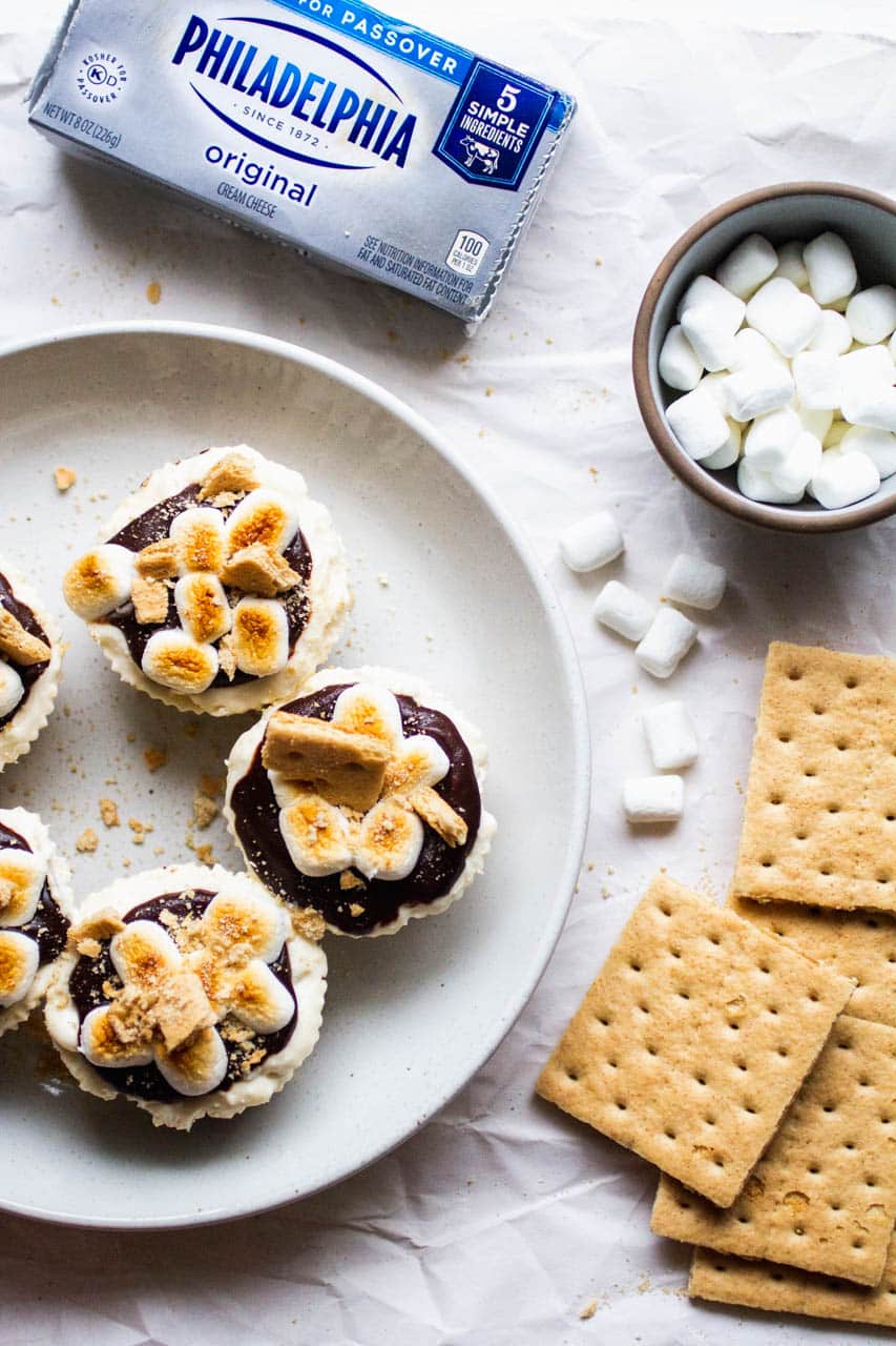 Mini cheesecakes on a white plate topped with chocolate ganache, toasted marshmallows and graham cracker pieces.