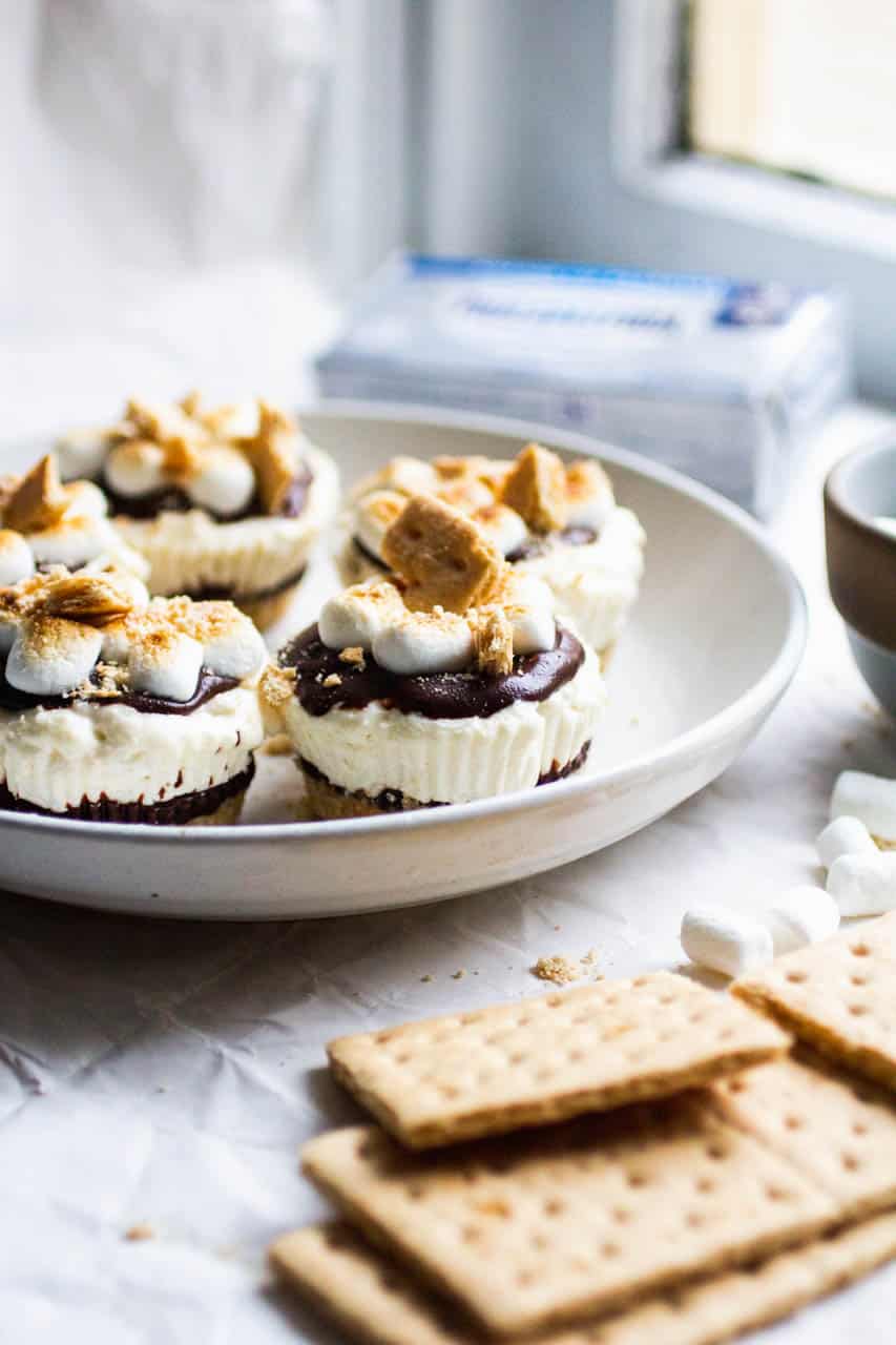 Mini cheesecakes on a white plate topped with chocolate ganache, toasted marshmallows and graham cracker pieces.