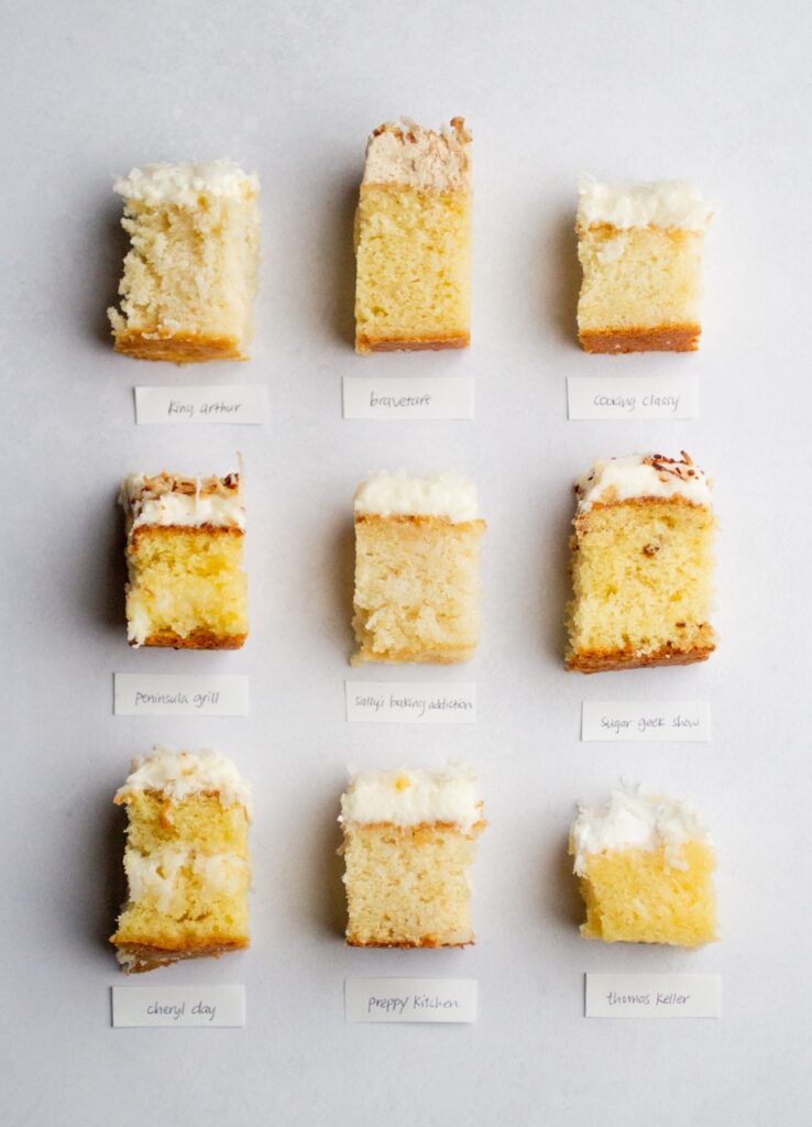 9 different coconut cakes on a gray background.