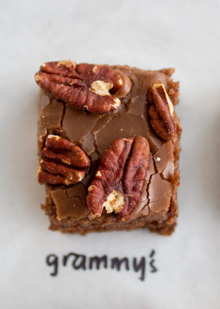 a square of chocolate cake with pecans on a white background.