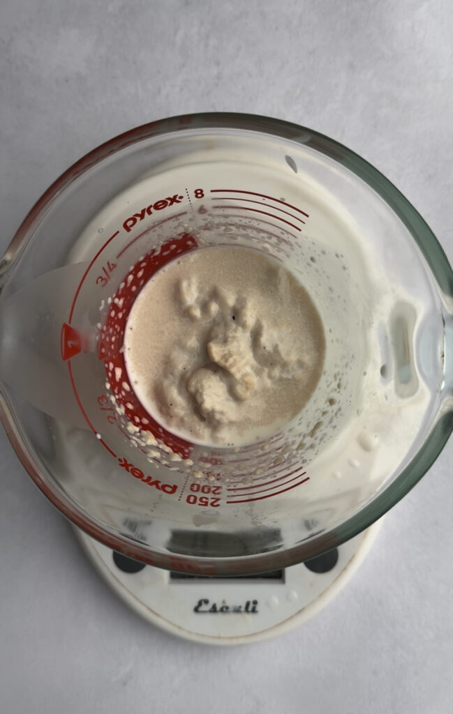 Yeast rising in a measuring cup.