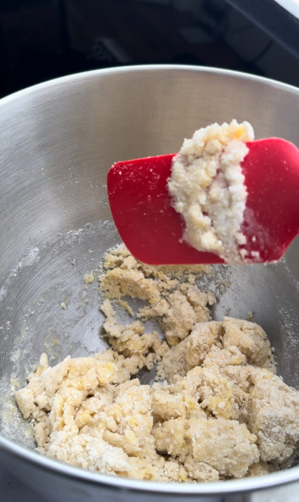 Rough dough in a mixing bowl.