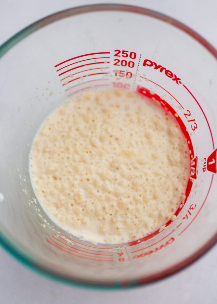 yeast rising in a measuring cup.