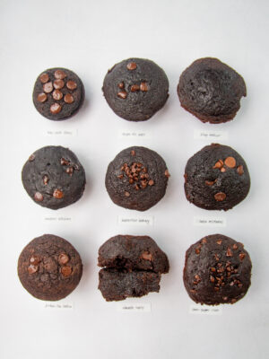 9 different chocolate muffins with labels on a gray background.