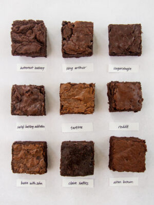 9 different brownies on a gray background with labels.