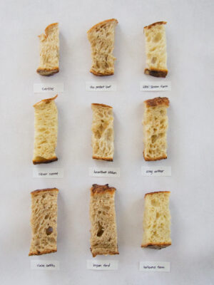 9 slices of sourdough on a gray background.